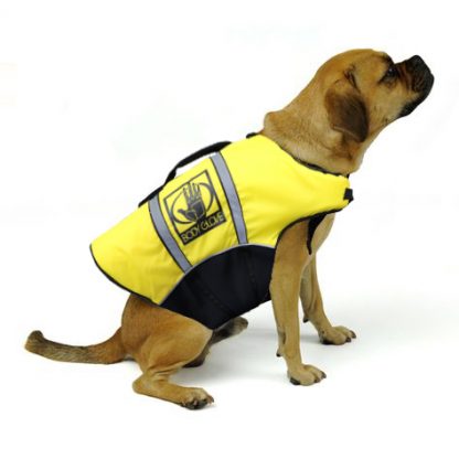 Chaleco Salvavidas Body Glove Dog